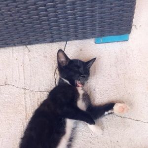 Meet your Posher, Jolena